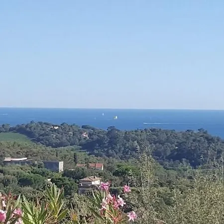 Avenue De St Raphael Апартаменты *